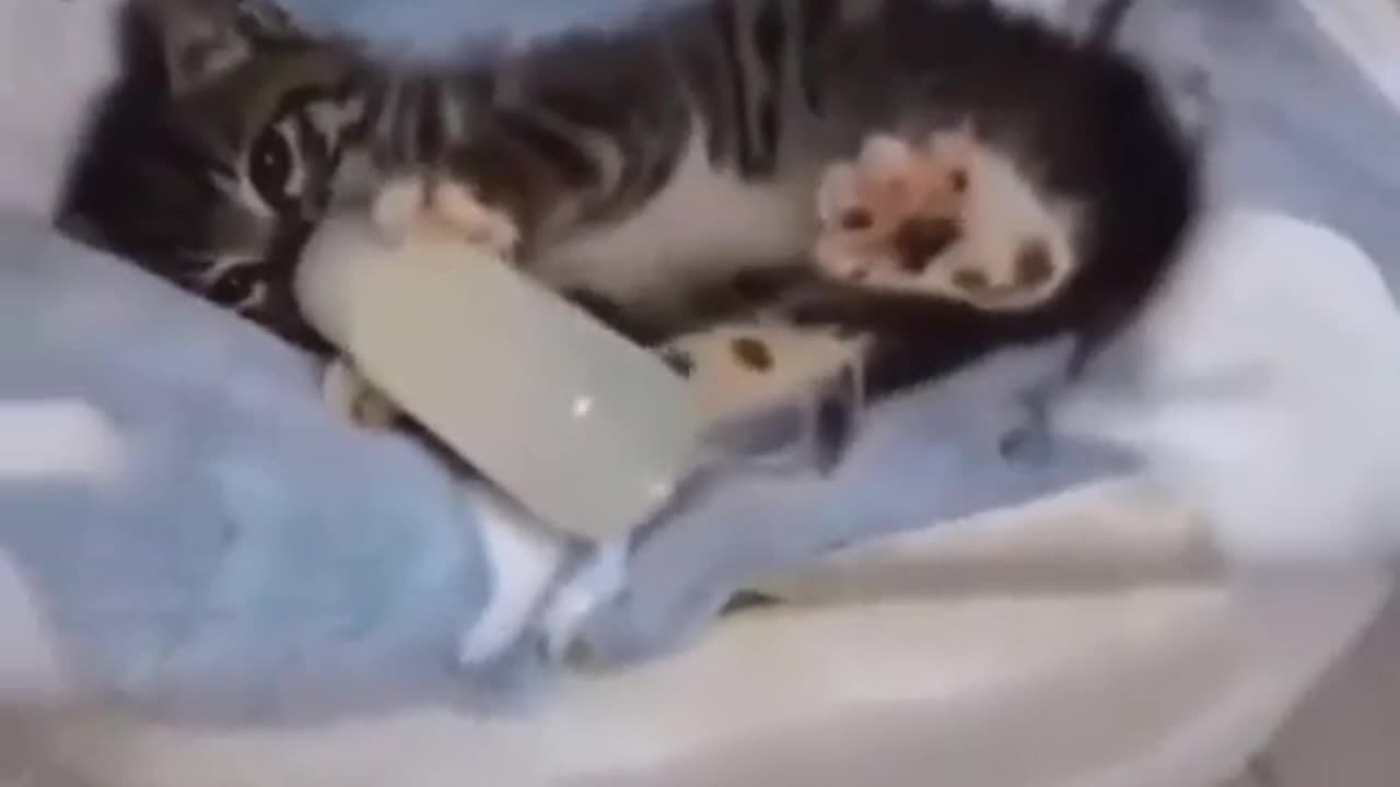 🤣⌛ The FUNNIEST Lesson On Being Patient You’ll See Today! | FunFM