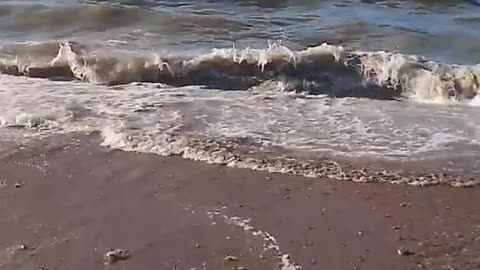 In the sea