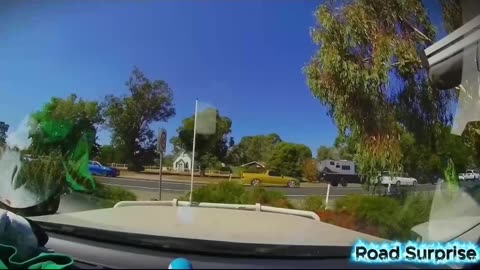 No Brakes, No Luck 📉