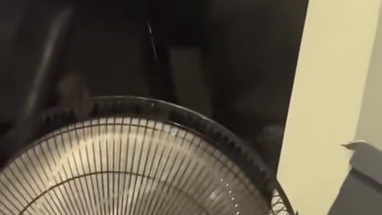 😱👻 This Ouija Board Session Went Horribly Wrong! | TheHauntingHour