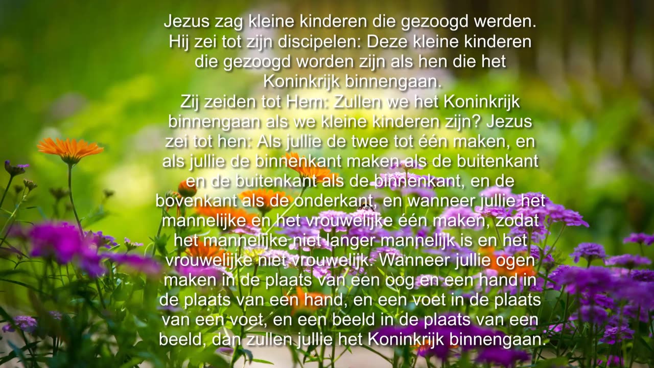 Jezus zag