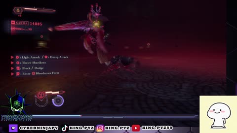 Ninja Gaiden 4 Gameplay vid 16