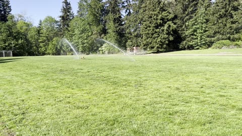 Tokala discovers sprinklers for the first time - part 2