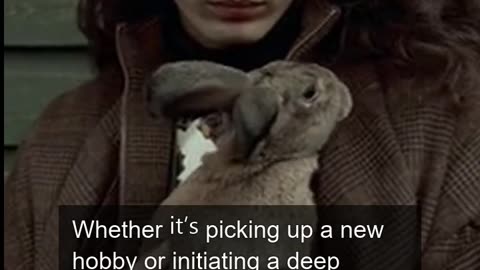 Daily Horoscope | Taurus 🌟