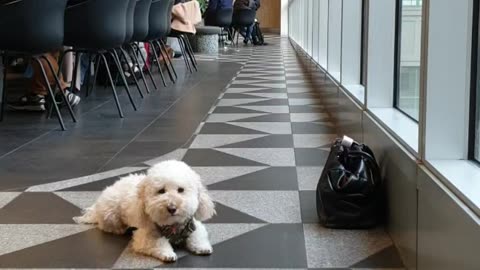 Drop Stay 5m for 2 mins - shopping centre