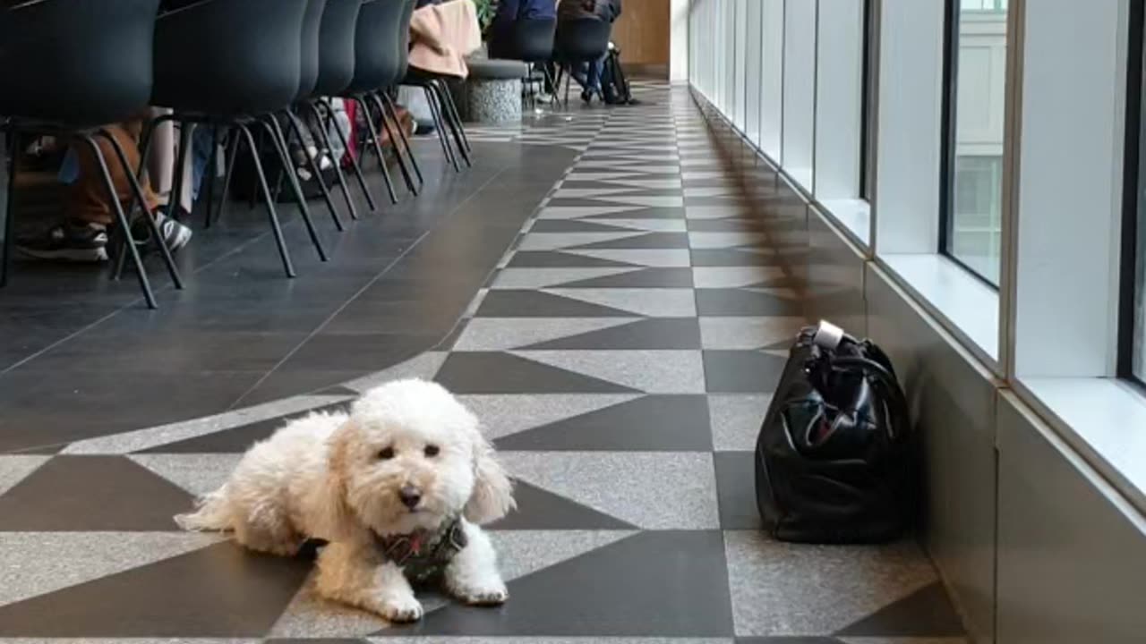 Drop Stay 5m for 2 mins - shopping centre