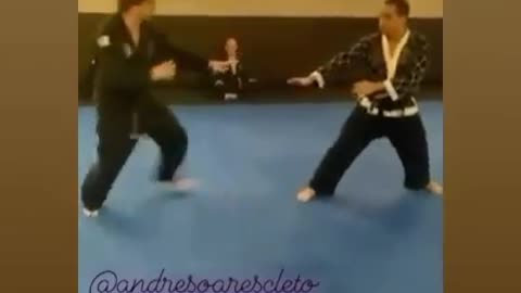 Hapkido