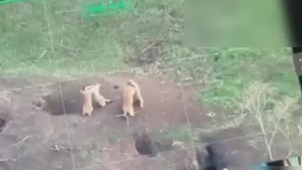 штурм
