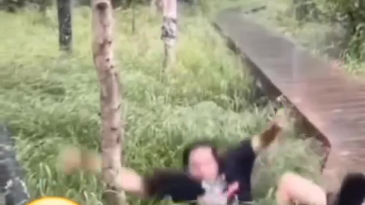 Best funny video 59