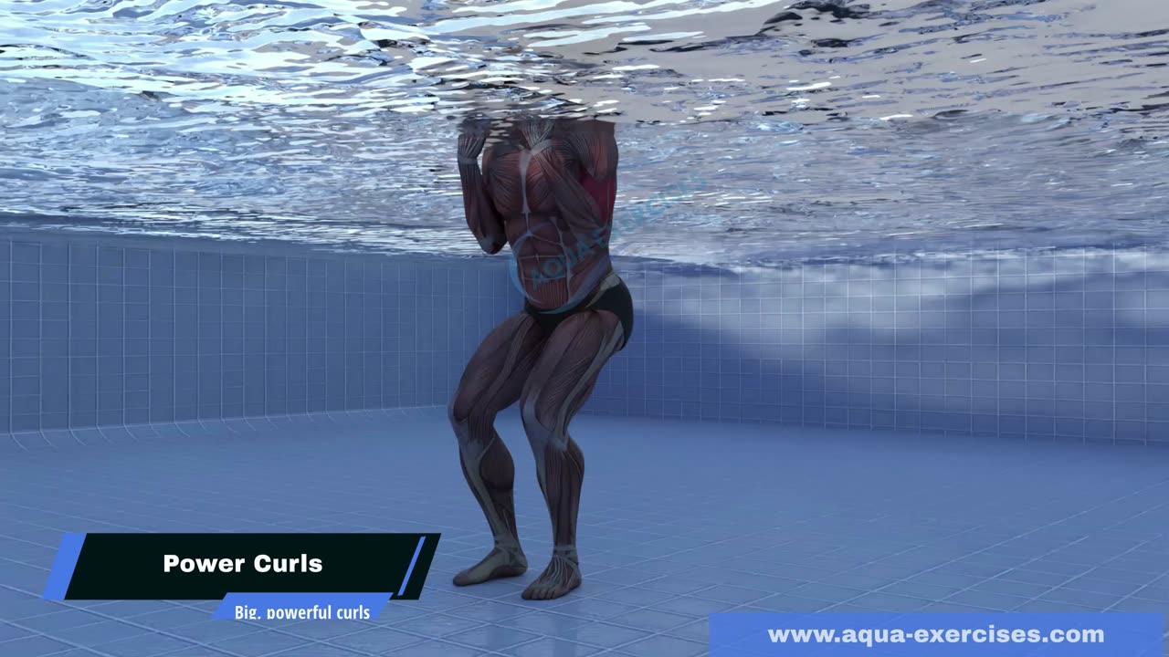 5 Bicep Curls Variations for Stronger Arms