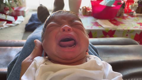 Blasian Babies Newborn Sister Wakes Up And Cries Then Sleeps Alongside Christmas Tree Lights
