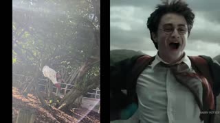 Captain America = Marry Poppins x Walt Disney x Willy Wonka
