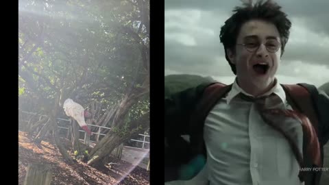 Captain America = Marry Poppins x Walt Disney x Willy Wonka