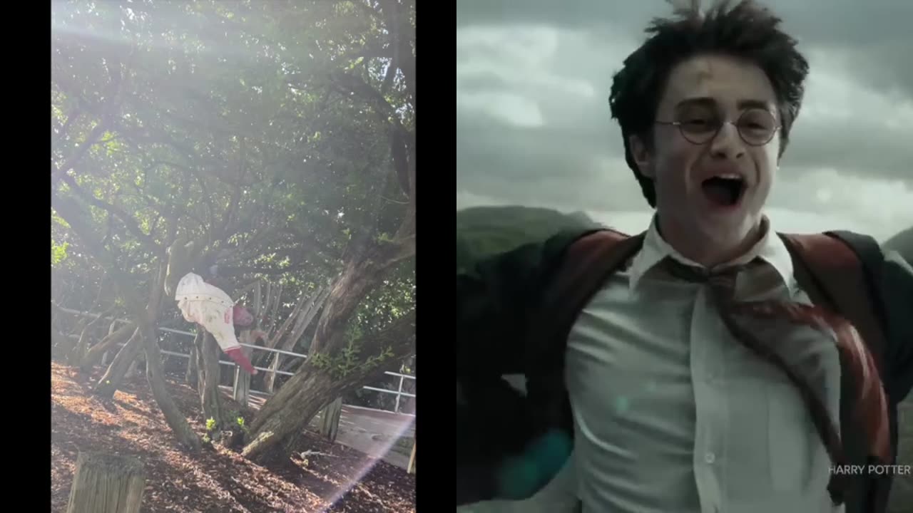 Captain America = Marry Poppins x Walt Disney x Willy Wonka