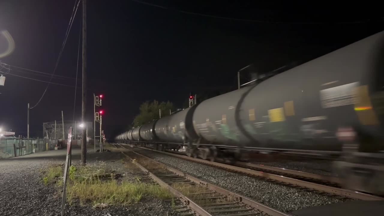 Mid-September Catches!