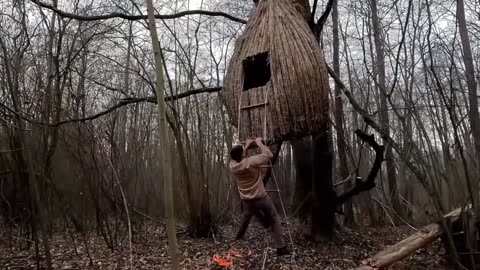 My process of creating a natural shelter and blending into nature
