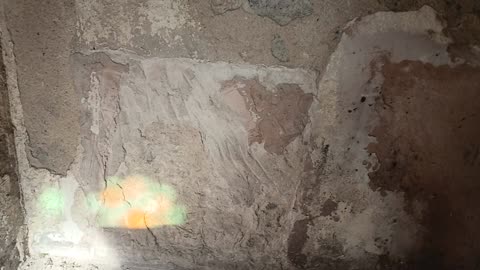 did Dr mengele look like fauci ?