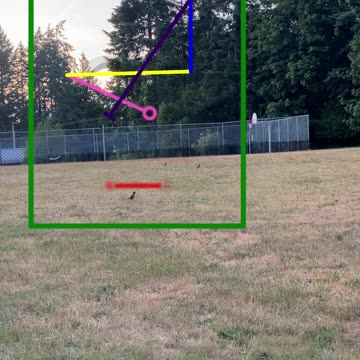 Victory, Shadow, and Wisdom | Path and Tarot Reading