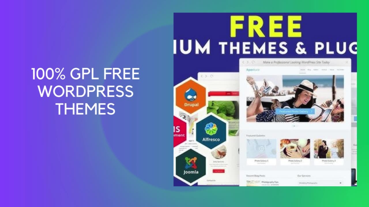Have Liberty and Versatility with WordPress GPL Certification