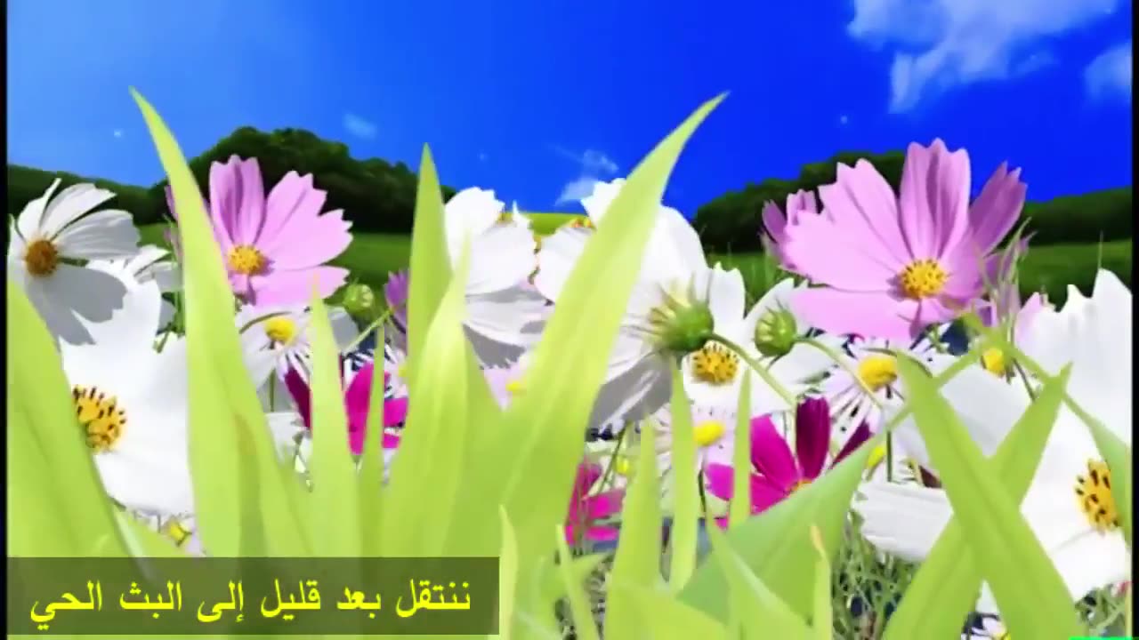 حوار مباشر مع الشيخ أحمد الشمال