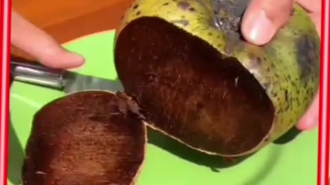 Chocolate pudding fruit, Black Sapote