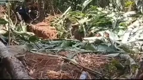 💥🔰 Myanmar War | Mortar Launch Failure by Unknown Group in Myanmar | RCF
