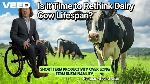 Is It Time to Rethink Dairy Cow Lifespan:A New Perspective on Modern Dairy Farming