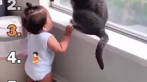 Best Cats Speaking English Moments