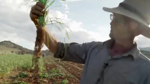 Regenerative Agriculture: From the Ground Up (Short Film)
