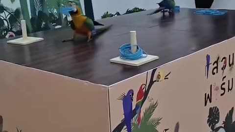 🤣🏆 When Winning Matters More Than Rules! You Have To See This! | FunFM