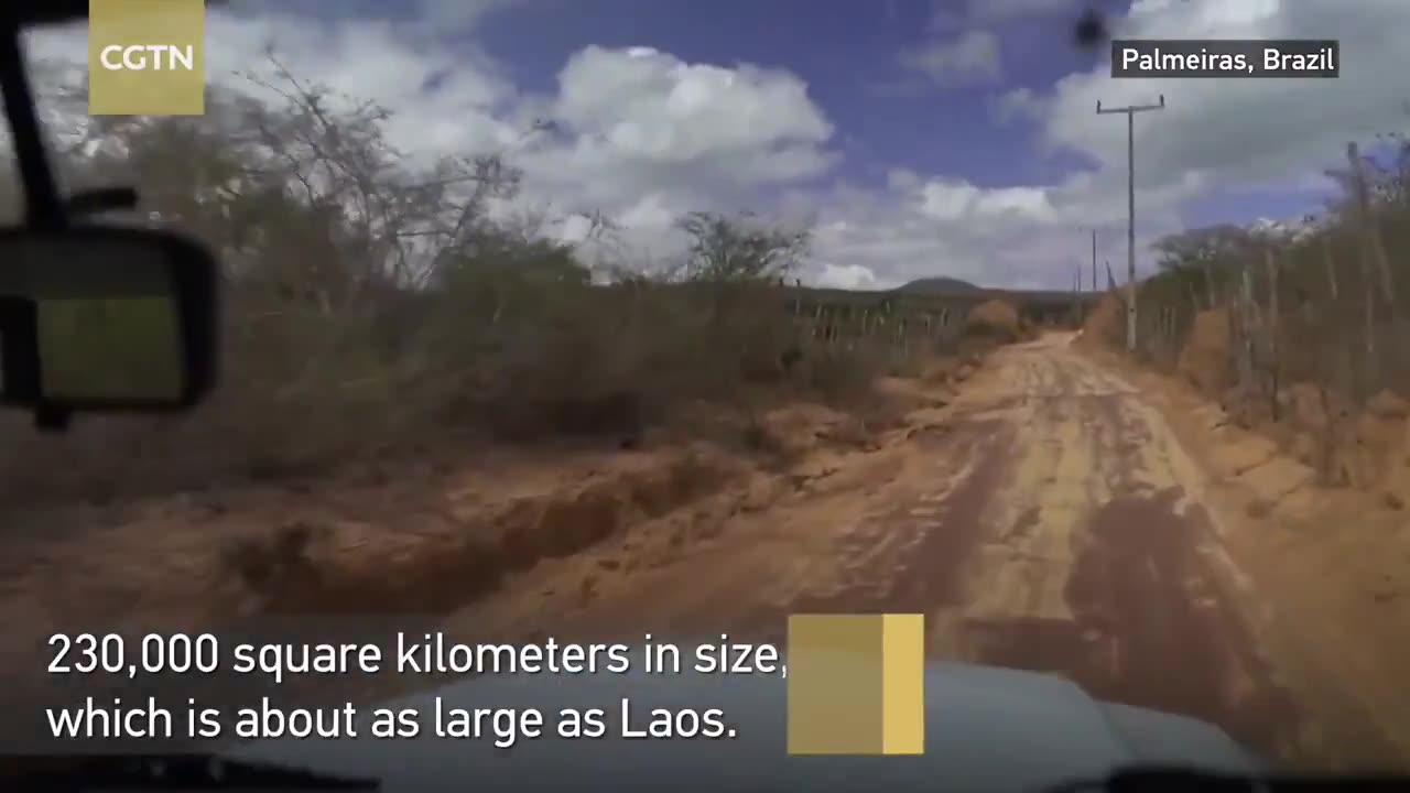 RESEARCHERS DISCOVERED A VAST COMPLEX OF 4,000 YEAR OLD TERMITE MOUNDS IN NORTHEASTERN BRAZIL