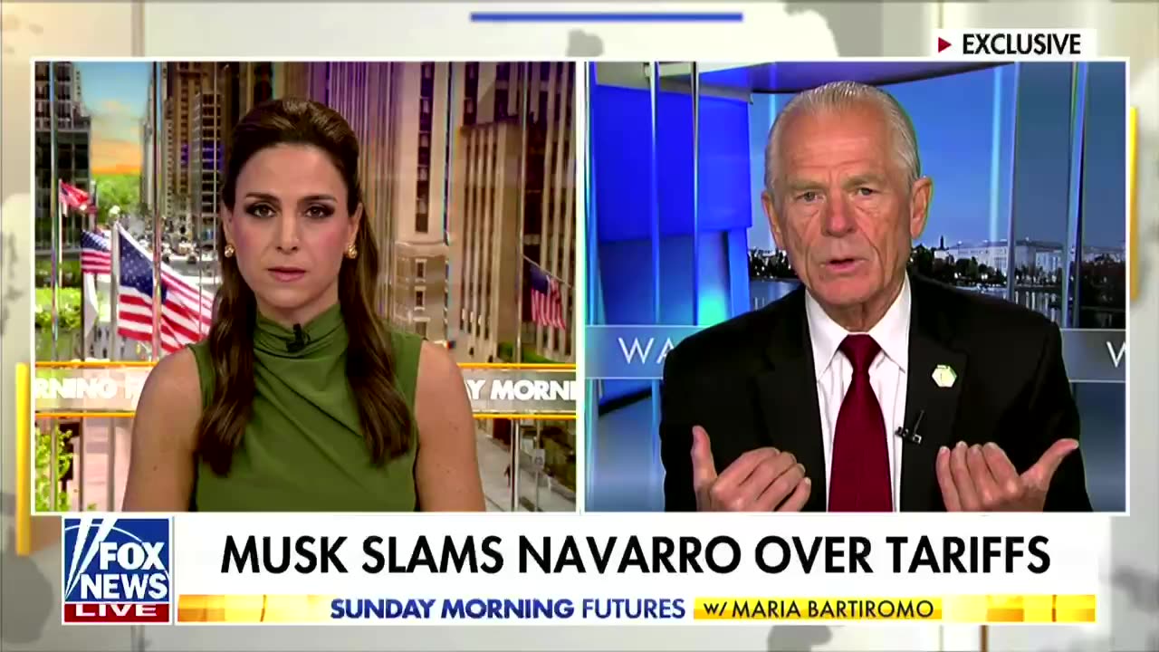 'He took a shot at you': Fox News confronts Peter Navarro over 'rift' with Elon Musk