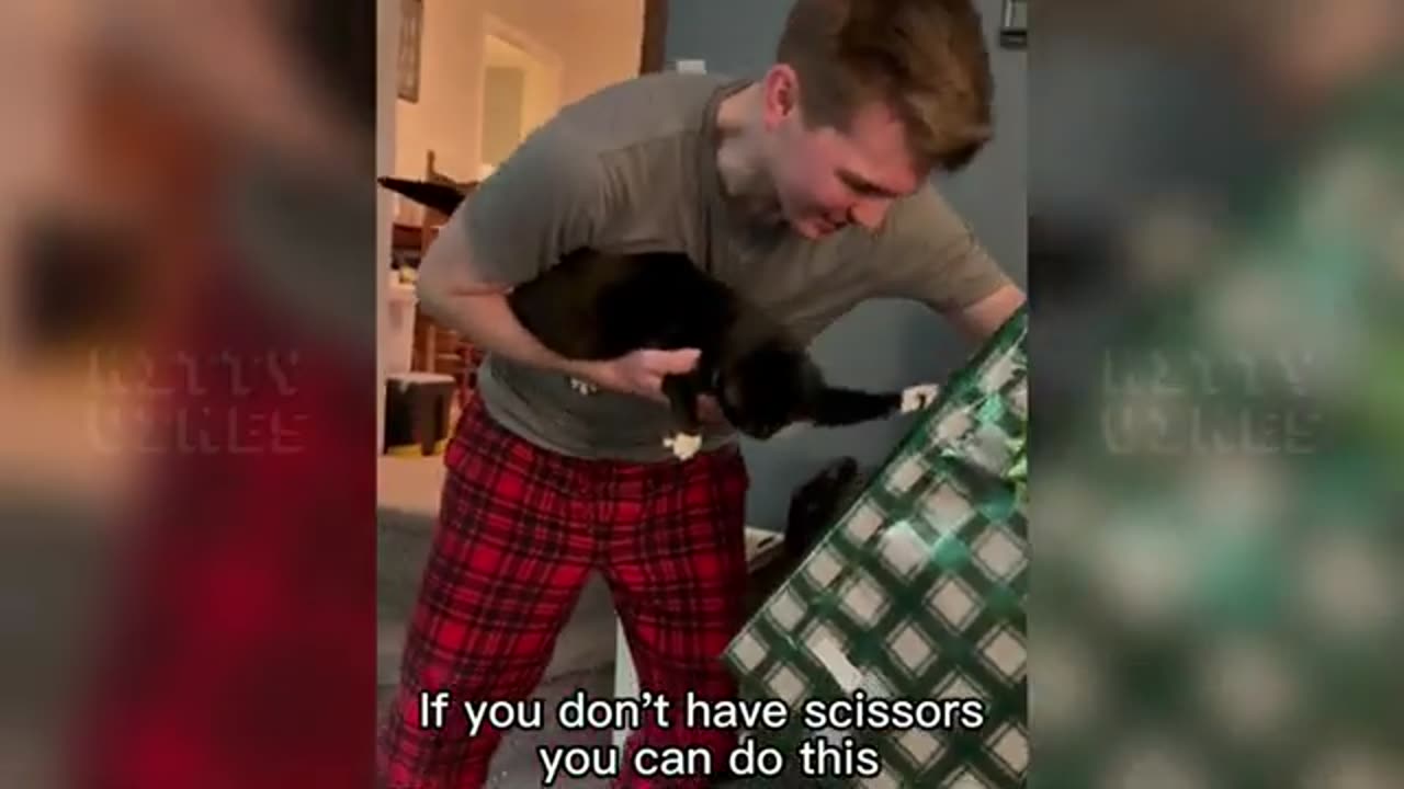 TRY NOT TO LAUGH 😆 Best Funny Videos Compilation 😂😁😆 Memes.