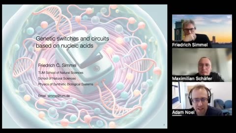 Genetic switches and circuits based on nucleic acids DNA and RNA molecules – can be used to rationally design molecular switches and circuits that can be used for molecular computation or communication in the context of synthetic and also live cells