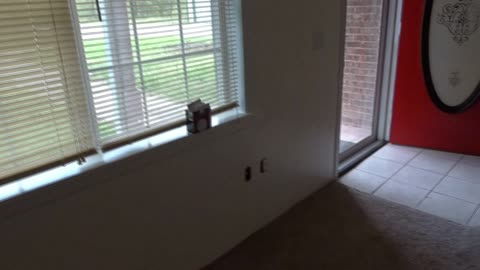 Peek Into My Primary Gig