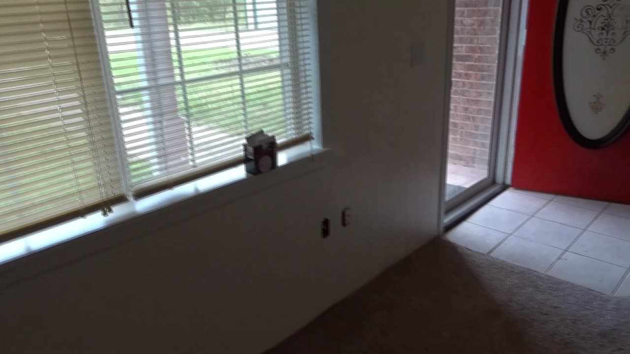 Peek Into My Primary Gig