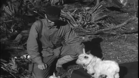 ERNIE PYLE ON OKINAWA & VILLAGE OF SOBE - ERNIE PYLE ON OKINAWA & VILLAGE OF SOBE - 428-npc-7582