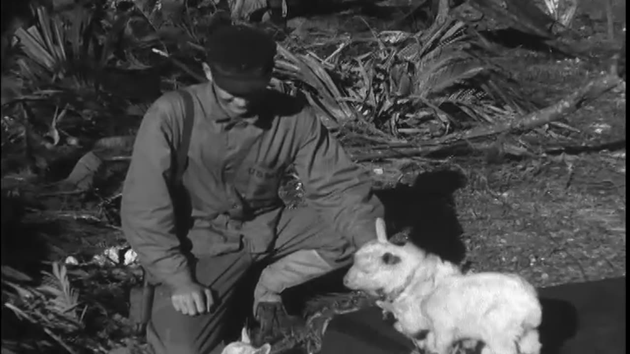 ERNIE PYLE ON OKINAWA & VILLAGE OF SOBE - ERNIE PYLE ON OKINAWA & VILLAGE OF SOBE - 428-npc-7582