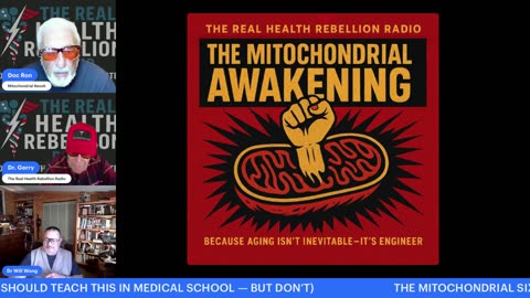 The rebellion of the mitochondria