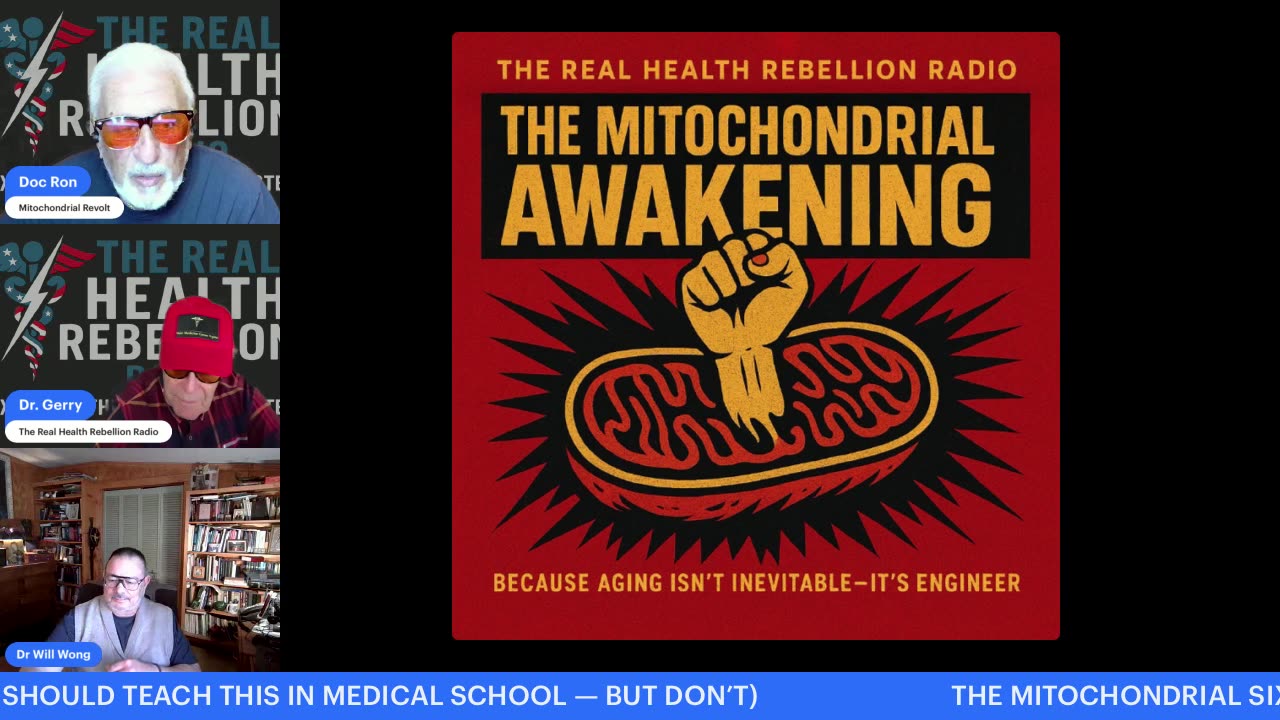 The rebellion of the mitochondria