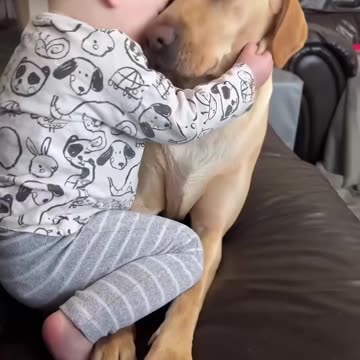 Woow orange 🍊 🐈 cats fighting baby