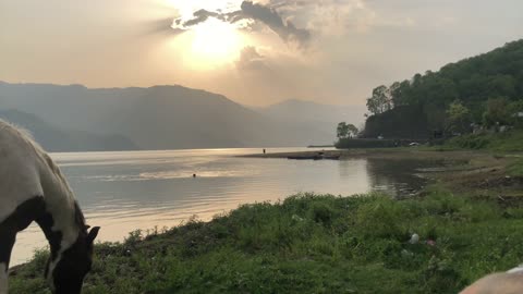 Barefoot at the lakeside Pokhara #nepal👣