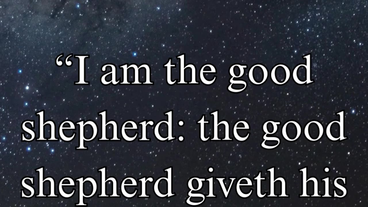 John 10:11