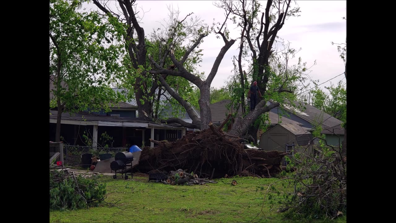 Bedwell's Tree Service LLC