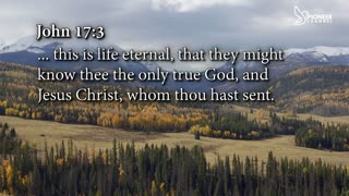 Pioneer Channel LIVE