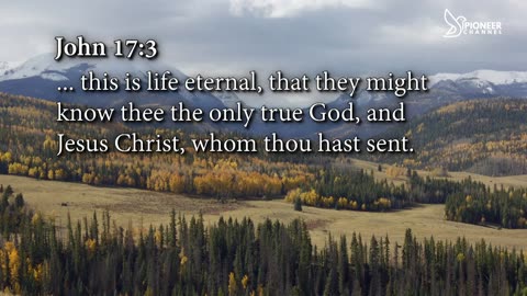 Pioneer Channel LIVE