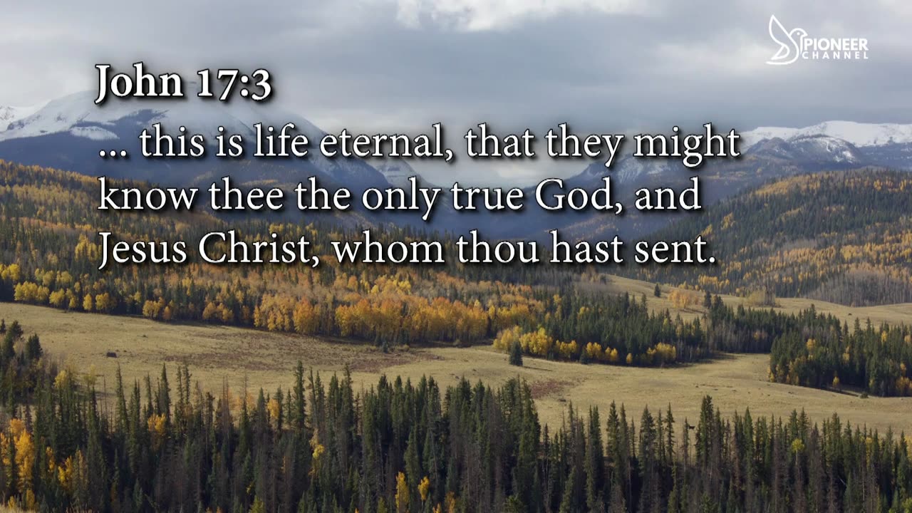 Pioneer Channel LIVE