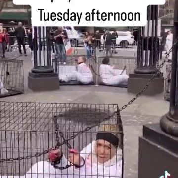 Unemployed Liberals on afternoon if they have freetime