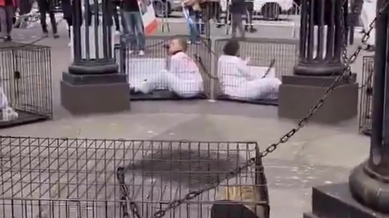 Unemployed Liberals on afternoon if they have freetime