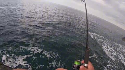 Hooked a Sea Monster! Extreme Deep Sea Fishing!